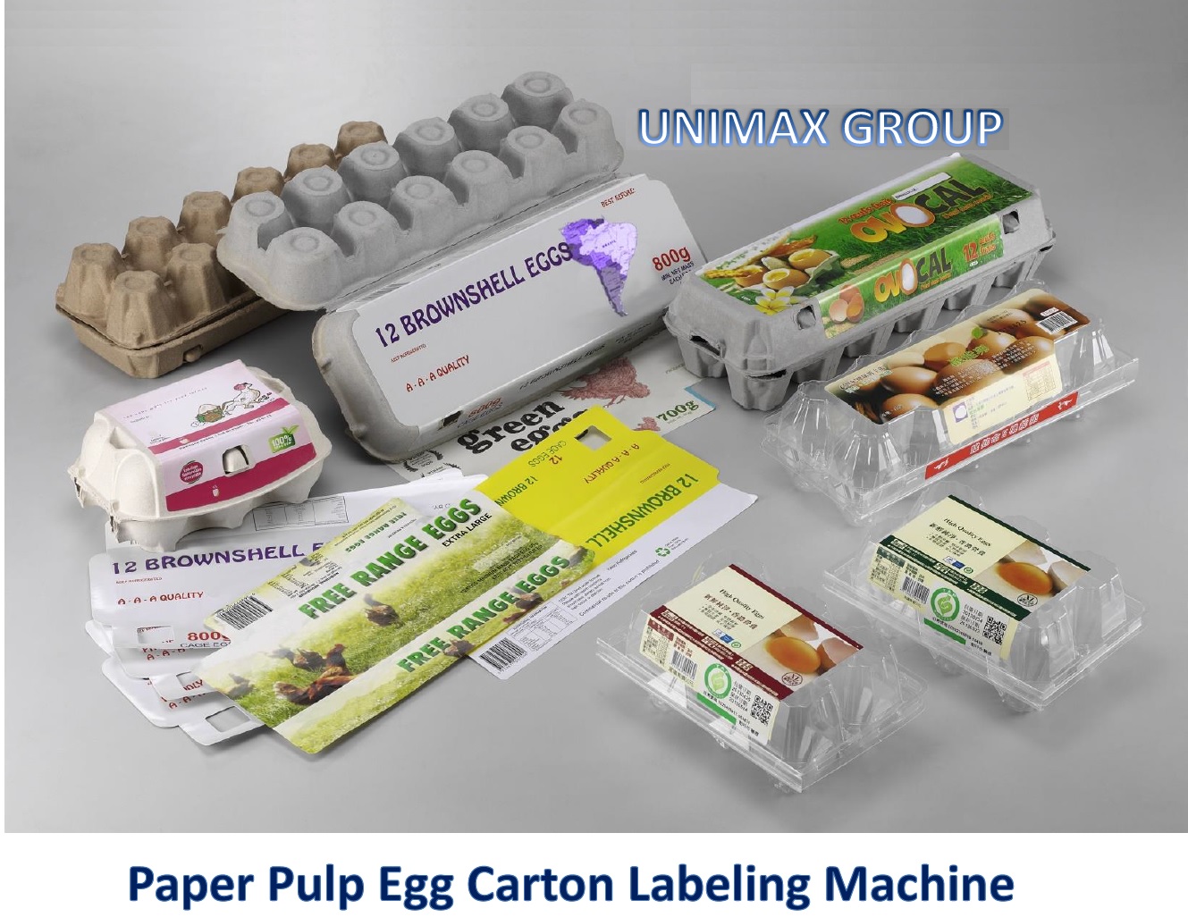 Egg Box / Carton / Tray Labeling Machines
